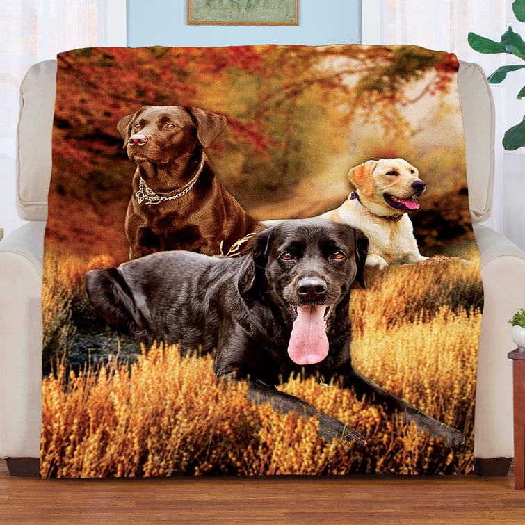 Labrador retriever clearance throw blanket